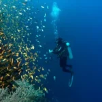 Philippines generates significant sales leads at 2026 Salon de la Plongée Sous-Marine